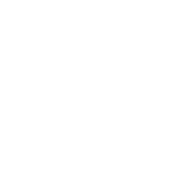 ce logo Irving